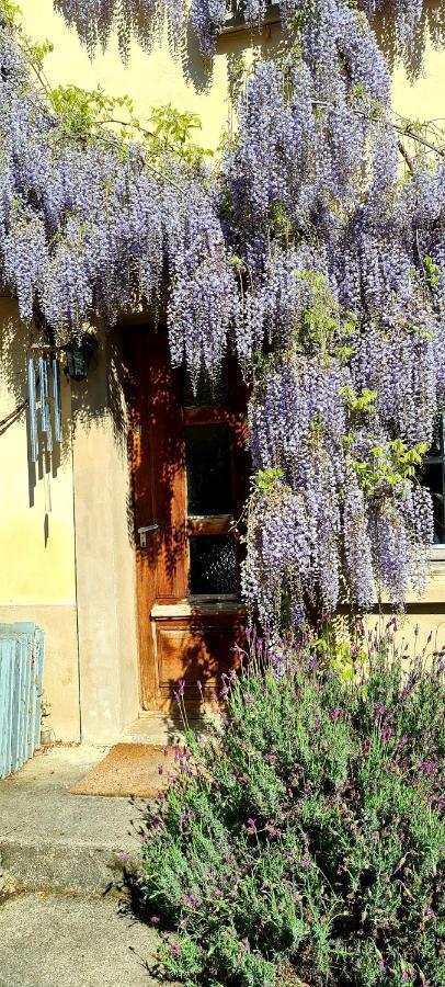 La Maison Des Tisserandes Montségur Εξωτερικό φωτογραφία